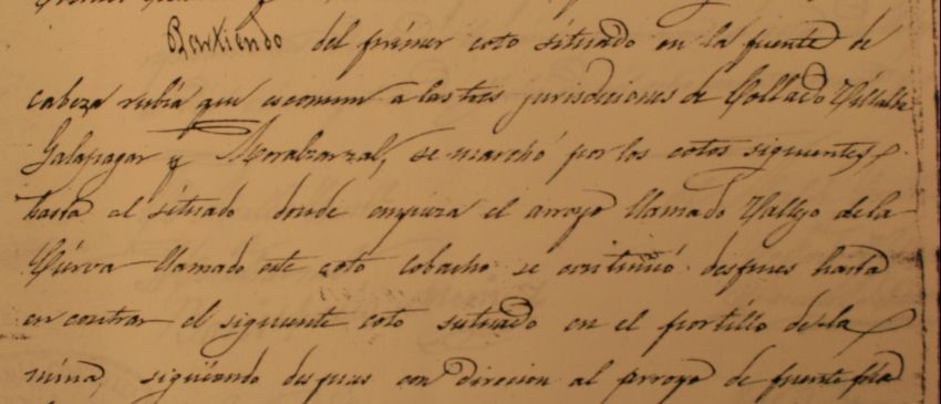 acta con la palabra coto