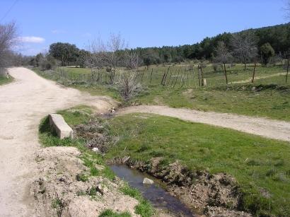 arroyo de la Alameda por los Tollares