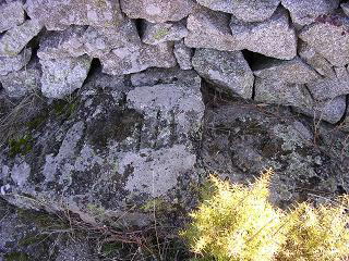 M, cruz y C en tapia de las Praderas