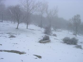 la chopera en invierno