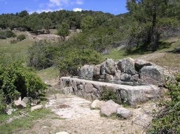 fuente del colmenar del tio Perico