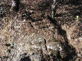 M de Moral y cruz en roca cerca de la Berzosa