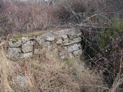 puentecillo sobre el arroyo de Pealiendre