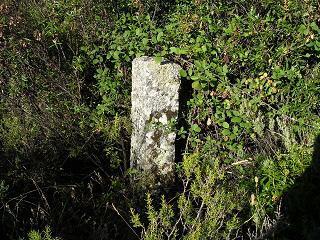 mojn donde se unen Galapagar, Moral y Villalba