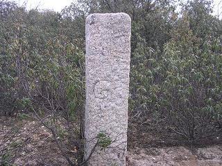 mojn 22 en el Cerruln