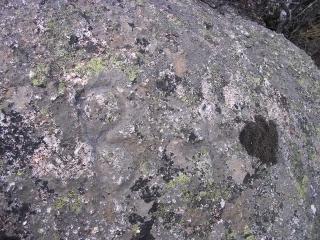 B de Becerril en la misma roca