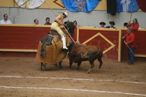 Juanjo picando