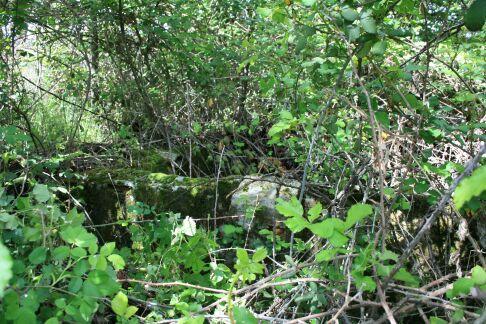 estanque entre zarzas estanque entre zarzas