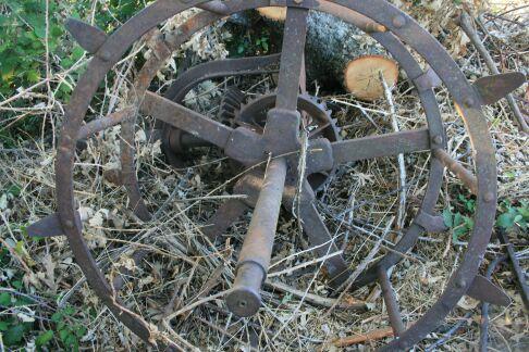 la vieja noria la vieja noria