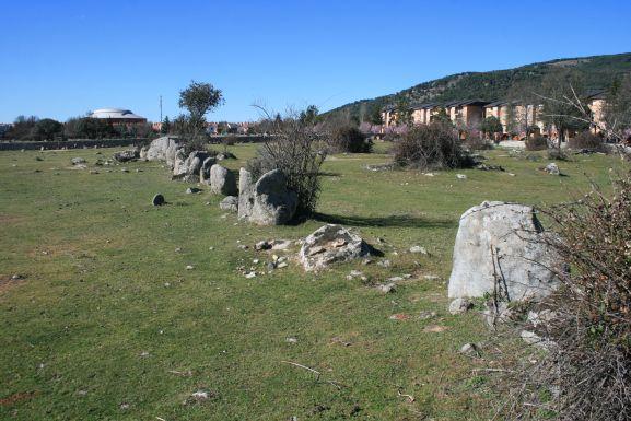 resto de la tapia