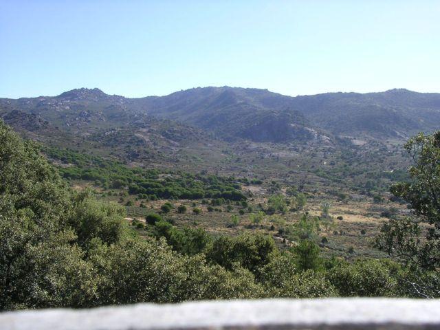  vista de la Navata 