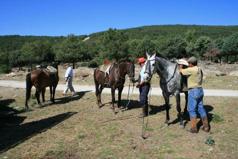  preparando caballos 