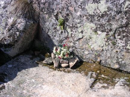 ofrenda floral