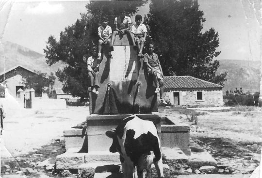 vaca junto a la fuente