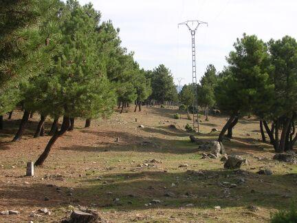 columna y mojones