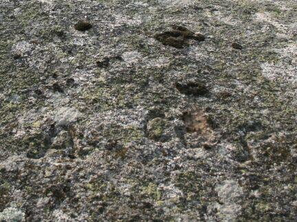 A y C O junto al arroyo Arenas