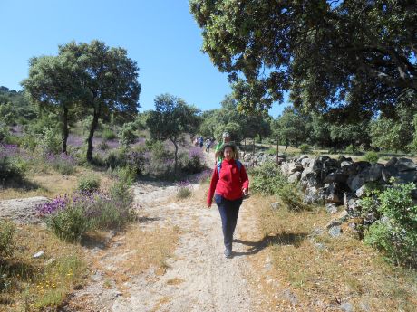  bajando por el Cordel 