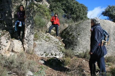  al lado de un alcornoque 