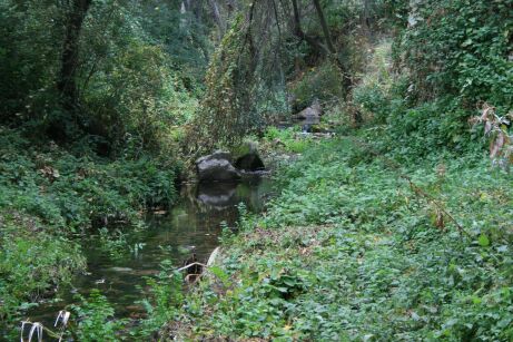  río Navacerrada 