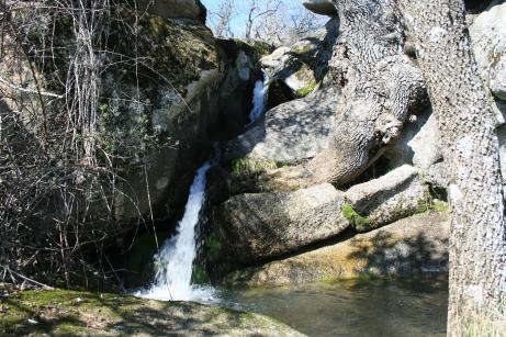  una chorrera 