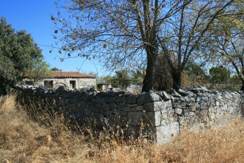 corral del colmenar