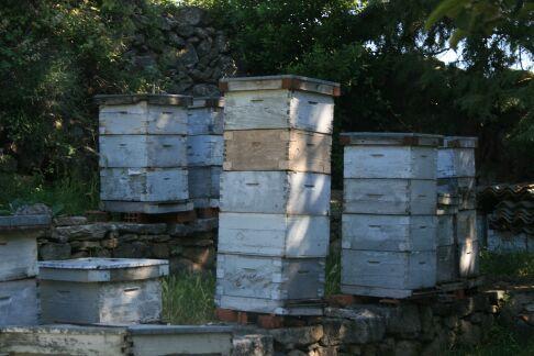 colmenas de 5 cajas