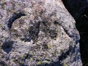 C.M. de Collado Mediano