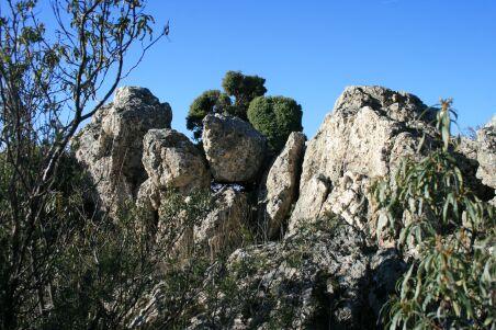mojn M5 en el risco de cuarzo