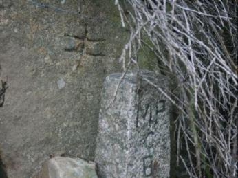 cruz en prado de Torres