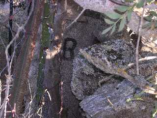 B de Boalo en la tapia de Navalcaide