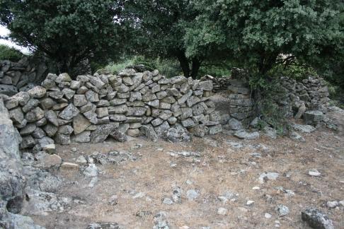 el chivero cercano al colmenar