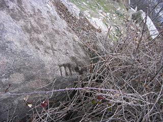 M de Moral en roca de la Majada de las Monjas