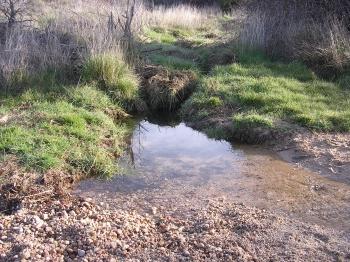 arroyo del Endrinal