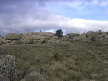 sendero y tapia al llegar