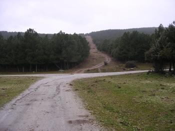 cortafuegos de frente