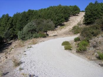 curva de la bardaguera