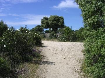 llegada a la pista forestal