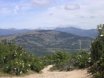 Cerro del Telégrafo