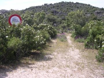 paso hacia Cerro Mirete