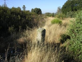 mojn junto al arroyo del Endrinal