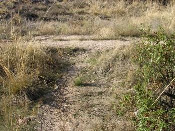 cruce con otro sendero