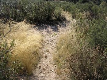 cruce con otro sendero