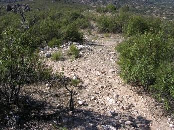 sendero al barranco de Contadero