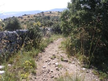 el sendero se separa de la tapia