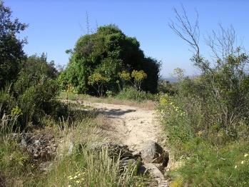 cogiendo el sendero de Peñaliendre