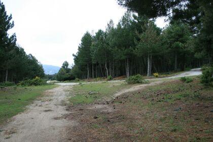 encuentro con la pista forestal