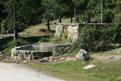 piln junto al camino