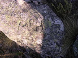 M y H cerca de El Estepar