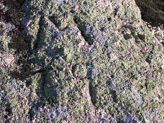 marca 19 cercana a la Berzosa