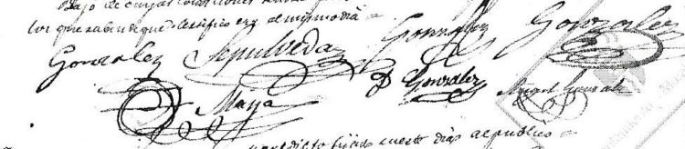 firmas